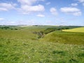 Looking to Pasture Dale Plantation, Yorkshire