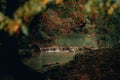 Looking towards a small waterfall in natural river or enchanted fairytale forest. Autumn setting in forest, with water stream and