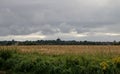View to Standish across the fields Royalty Free Stock Photo