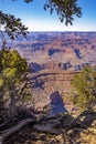 Through the trees lurks the vastness of the Grand Canyon