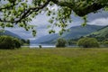 Looking through the trees towards Loch Voil Royalty Free Stock Photo