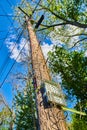 Looking up at american communications telephone pole with metal spikes and equipment