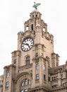 Looking up of Architecture design of Clock tower and The liver bird on top of Historic The royal liver building Royalty Free Stock Photo