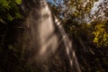 Waterfall falling from high rock among trees.