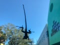 gecko silhouette from below