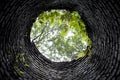 Looking up from the Bottom of a Well into Overgrown Forest Royalty Free Stock Photo