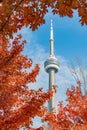 CN Tower with lovely red maple leaves