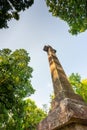 Looking up at Dead Mans` Plack,Harewood forest,Hampshire,United Kingdom Royalty Free Stock Photo