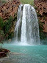 Looking Up at Havasu Falls