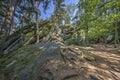 Looking up at jagged rock formations