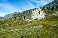 Viking warriors and farmers - view of Hvalsey Viking church and mountain view in Greenland Royalty Free Stock Photo