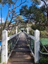 Looking up at Paisley Bay Bridge crossing the bay on Sydney Harbour Australia Royalty Free Stock Photo