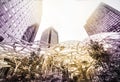 Looking up at Seattle skyscrapers at sunset, color toning applied Royalty Free Stock Photo