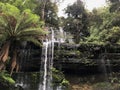 Looking up at a section of Russell Falls Royalty Free Stock Photo