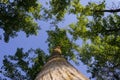 Looking up at the sky from the ground in the forest