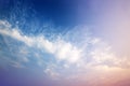 Looking up to beautiful bright blue sky and wihte clouds Royalty Free Stock Photo