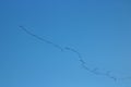 Silhouettes geese in flight blue sky