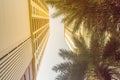 Looking up to skyscraper towers into the sky with palm trees on foreground. Sunny sky with palm tree decoration in modern apartmen Royalty Free Stock Photo