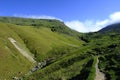 Looking up Tongue Gill Royalty Free Stock Photo