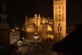 Seville Cathedral at night Royalty Free Stock Photo