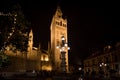 Seville Cathedral at night Royalty Free Stock Photo