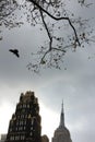 looking up view with empire state and american radiator building hotel with bird flying and tree with fallen