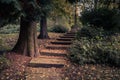 Looking up at well worn caved stone steps in public park leading upwards through big trees and bushes Royalty Free Stock Photo