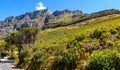 Looking up at table mountain,capetown,south africa3