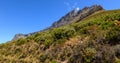 Looking up at table mountain,capetown,south africa2