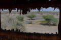 Looking through the wildlife and bird observation tower or blind in the desert of the United Arab Emirates out to the grassland, r