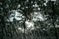 Looking through window with rain water drop on and blurred nature background