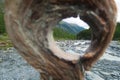 Looking through the wooden round hole of the tree bark Royalty Free Stock Photo