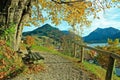 Lookout point at schliersee with bench in autumnal landscape