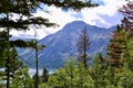 Lookout towards Vimy Peak framed by trees along hiking trail at Waterton Lakes National Park Royalty Free Stock Photo