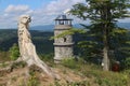 Lookout tower Royalty Free Stock Photo