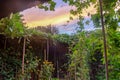 Backyard garden luffa vines growing on pergola and vertical trellis and blossom flower in Texas, USA Royalty Free Stock Photo