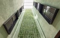 Lookup view of modern residential building with vertical gardening in Barcelona. Asymmetrically placed black windows and