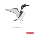 Loon sea bird color flat icon