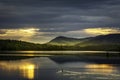 Loon watching the sunrise over Indian Lake Royalty Free Stock Photo