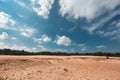 The Loonse and Drunense Duinen National Park, Blue Sky, Big White Clouds, Pines in the Distance, Dry Trees and Yellow Sand