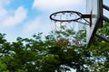 The loop and the basketball hoop damaged