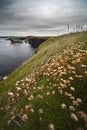 Loop Head Drive Royalty Free Stock Photo