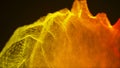 Loopable abstract particle background, 3d render with depth of field Royalty Free Stock Photo