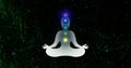 looped animation of the Buddha chakra system according to Vedic treatises. Video of the Seven chakras, energy body