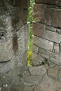 Loophole of an old castle, in a wall