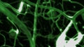 Looping Brain Cell Neural Activity Animation