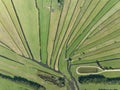 Loosdrecht recreational water river and meadow rural grass land green marsh in beautifull pattern small rivers and Royalty Free Stock Photo