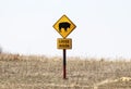 Loose Bison with picture of animal caution sign stands surrounded by winter grass on the Tall Grass Prairie in Oklahoma USA Royalty Free Stock Photo