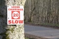 Loose chips 20 mph slow road sign on tree in woodland forest