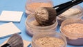 Loose and compact cosmetic powder different shades Royalty Free Stock Photo